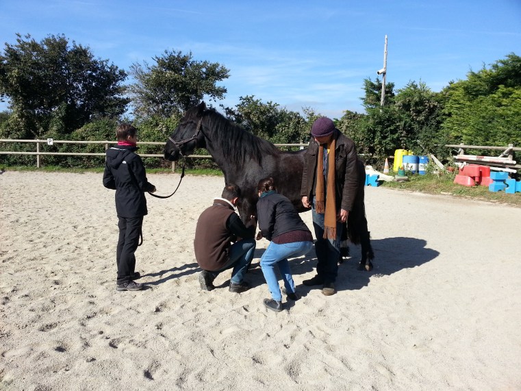 Stage le cheval miroir - Metafor - Virginie Kersaudy