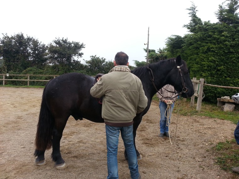 Stage le cheval miroir - Metafor - Virginie Kersaudy