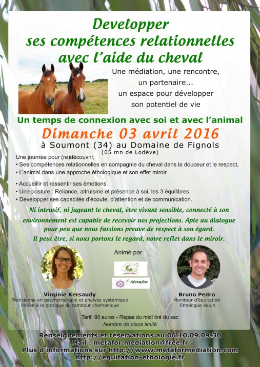 Mediation equine 03avril2016